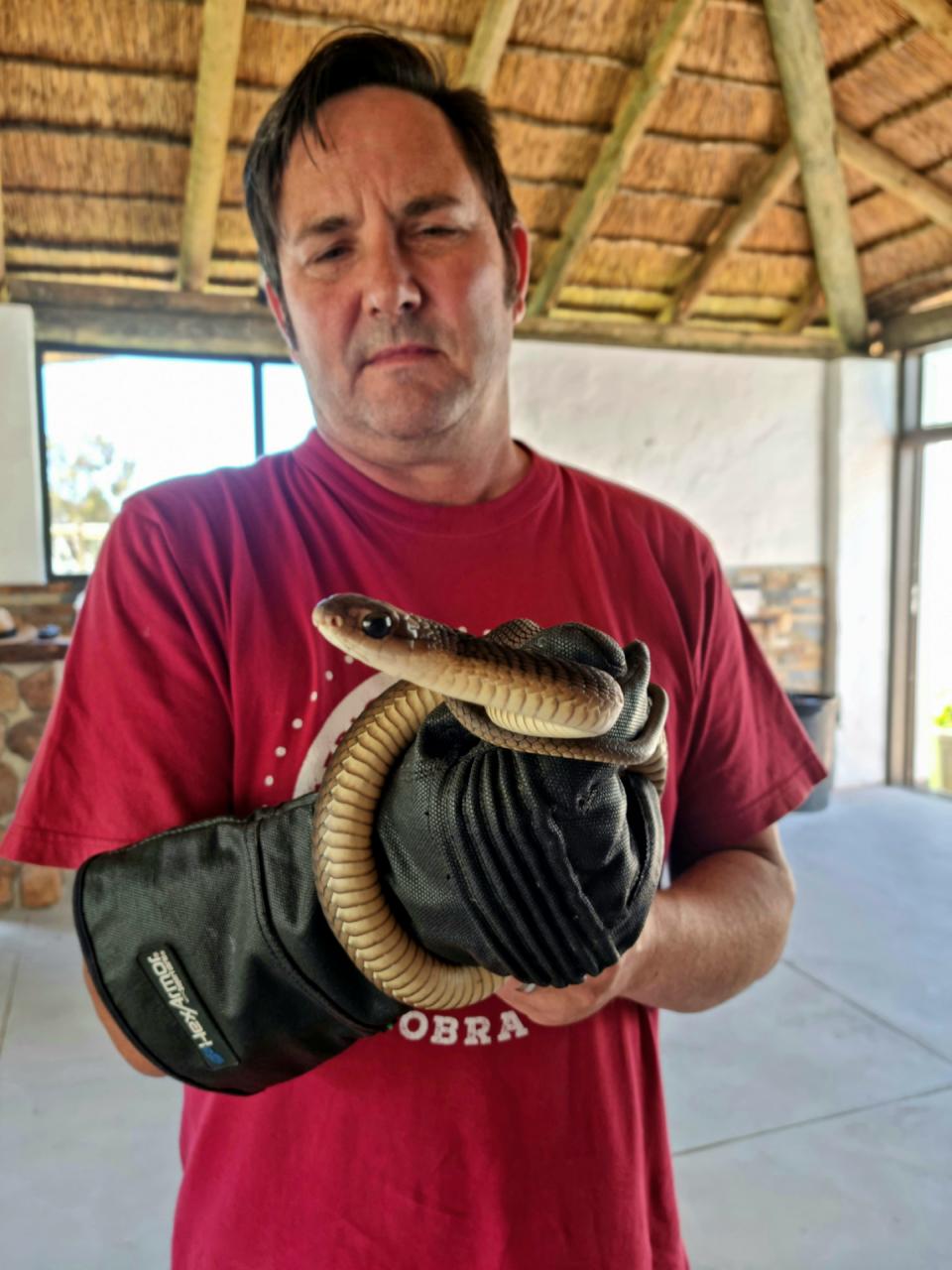Gerrie Heyns of Montagu, South Africa, shows the boomslang snake he retrieved from a nearby home on Dec. 10. 2021.