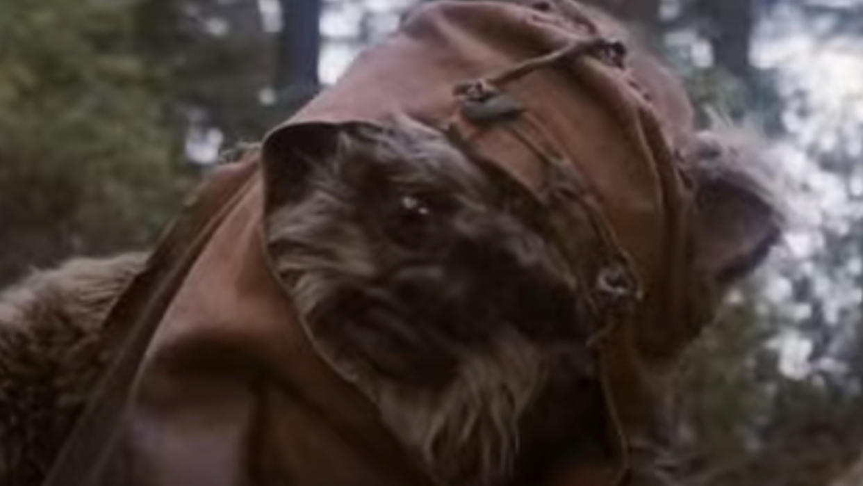  Wicket from Star Wars: Return of the Jedi. 