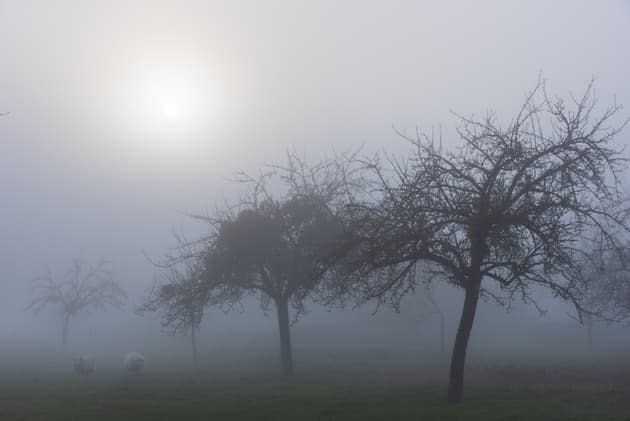 Météo : des nuages au nord, du soleil et de la douceur au sud ce jeudi