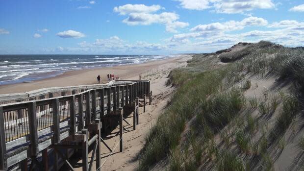 The Malpeque riding includes P.E.I.'s picturesque North Shore. (Rick Gibbs/PEI - image credit)