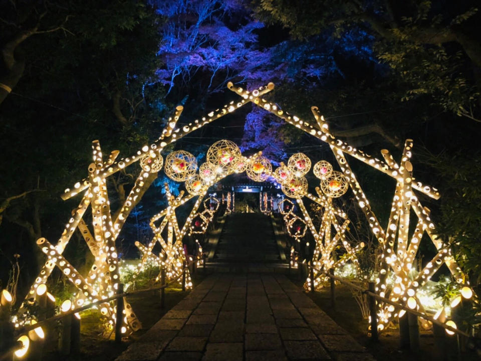 東京冬季浪漫點燈之紅葉名所