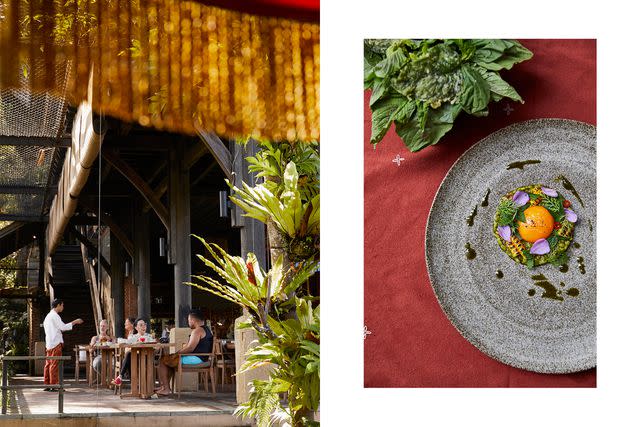 <p>Armelle Habib</p> From left: The dinner crowd at Buahanâ€™s Open Kitchen; pesto, pickled corn, egg confit, and wild herbs at the Open Kitchen.