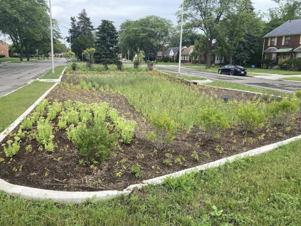 Detroit has installed green features like this bioswale – a shallow, vegetated area that collects stormwater – to reduce flooding that has plagued neighborhoods for decades. <a href="https://newsroom.ap.org/detail/GreenStormwaterInfrastructure/c4e3545e9e53462ca6cb55e597d21fe7/photo" rel="nofollow noopener" target="_blank" data-ylk="slk:AP Photo/Corey Williams;elm:context_link;itc:0;sec:content-canvas" class="link ">AP Photo/Corey Williams</a>