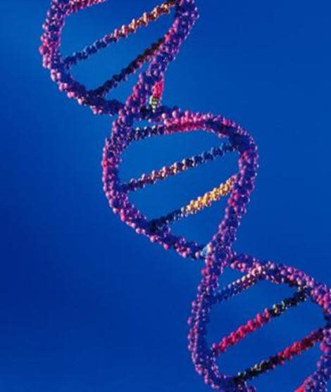 Can DNA testing determine the perfect diet plan for you?