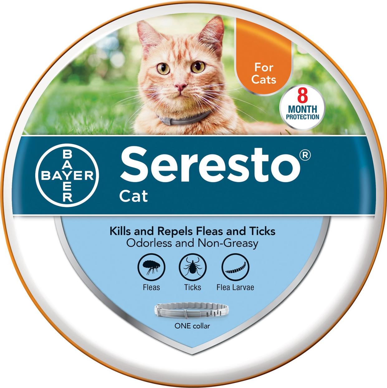 <p><a href="https://go.redirectingat.com?id=74968X1596630&url=https%3A%2F%2Fwww.chewy.com%2Fseresto-flea-tick-collar-cats%2Fdp%2F46492&sref=https%3A%2F%2Fwww.womansday.com%2Flife%2Fpet-care%2Fg29772340%2Fbest-cat-flea-treatments%2F" rel="nofollow noopener" target="_blank" data-ylk="slk:Shop Now;elm:context_link;itc:0;sec:content-canvas" class="link rapid-noclick-resp">Shop Now</a></p><p>8 Month Flea & Tick Prevention Collar for Cats</p><p>chewy.com</p><p>$59.98</p><span class="copyright">Seresto</span>