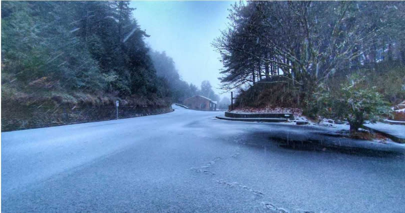 台中大雪山國家森林遊樂區一片雪白。（圖／擷取自Facebook／大雪山國家森林遊樂區）