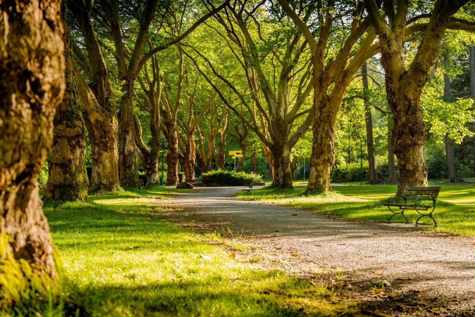 鄭男抓包妻子和爸爸在公園散步，還有親密動作。（示意圖，與當事人無關／Unsplash）