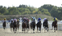 Global Art ridden by Ryan Moore (3rd right) coming home to win the tote.co.uk Free Streaming Every UK Race Handicap at Chelmsford City Racecourse.