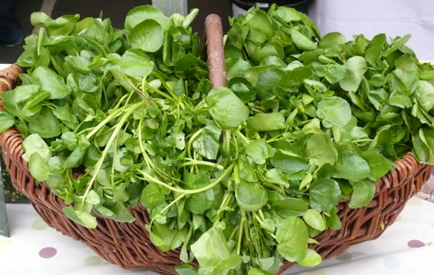 Add watercress to spring salads for a double whammy of nutrients and antioxidants ©Rex