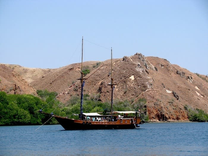 A traditional phinisi boat: The boats have been underway for a month and have been enjoying plenty of what East Nusa Tenggara's 21 regencies have to offer in natural beauty - both underwater and above. (