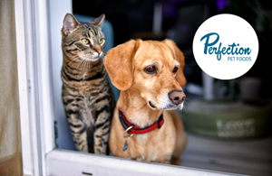 Post Holdings to Acquire Perfection Pet Foods