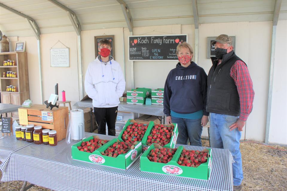 Owners Kay and Ron Koch (right) and U-Pick worker Jackson Cook (left) at Koch Family Farm in St. Paul on May 22, 2020.