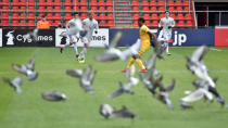 Soccer Football - International Friendly - Kirin Challenge Cup 2018 - Japan vs Mali - Stadium Maurice Dufrasne, Liege, Belgium - March 23, 2018 Birds on the pitch during the game REUTERS/Eric Vidal TPX IMAGES OF THE DAY