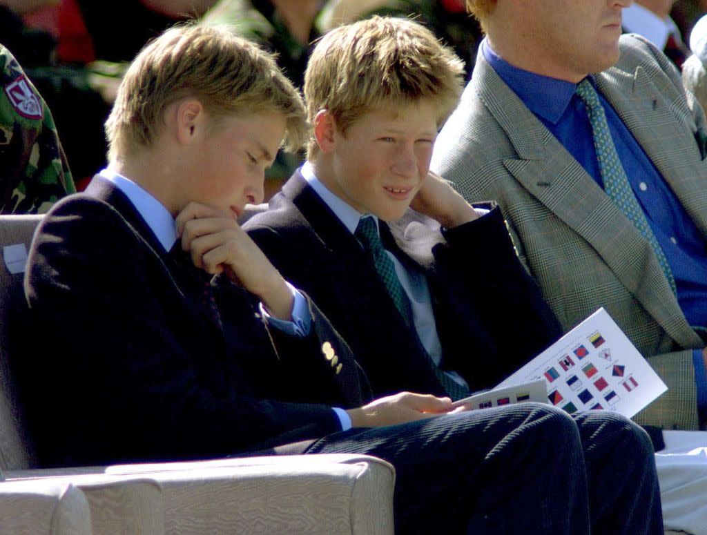 Prince William and Prince Harry watching an air show in 1999