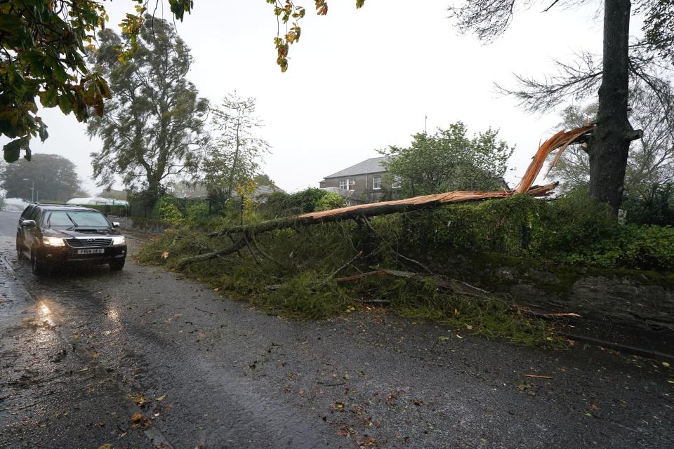 A fallen tree in Brechin, where residents have been advised to leave (PA)