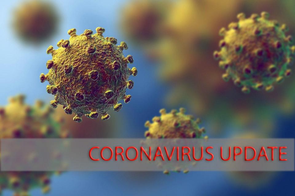 Examples of particles of COVID-19, the new coronavirus, are shown in this artist's rendering.