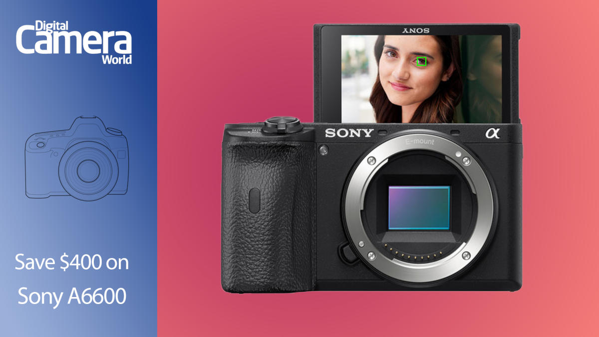 Sony A6700 vs Sony A6600 - Which is Better?