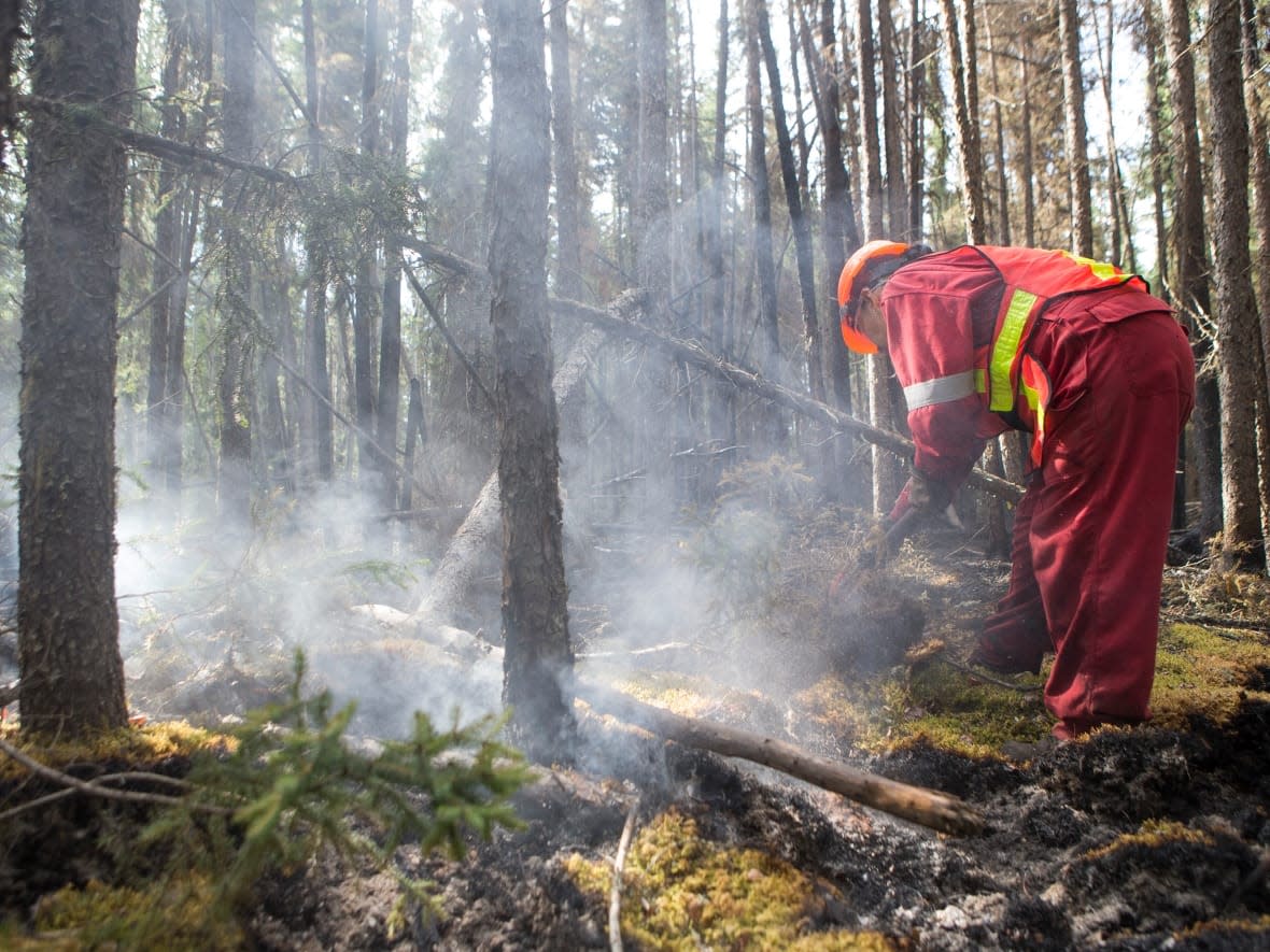 In its latest bulletin, the Saskatchewan Public Safety Agency stated that three large wildfires of note, which caused communities to evacuate, have been contained. (Liam Richards/Pool - image credit)