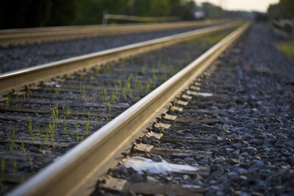 Five horses killed in train crash