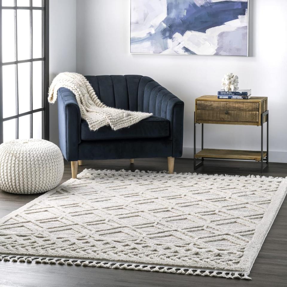 tassel area rug