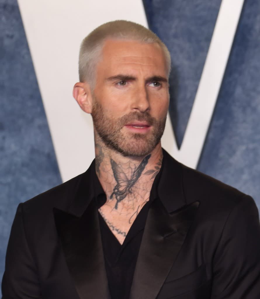 Is Adam Levine the Voice Behind Purple Tears?