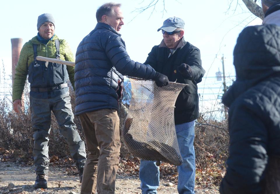 People form an assembly line to quickly move 13 Atlantic salmon into the Shetucket River Friday at River Park in Baltic. The Department of Energy and Environmental Protection released a total of 50 Atlantic salmon in area rivers Friday.