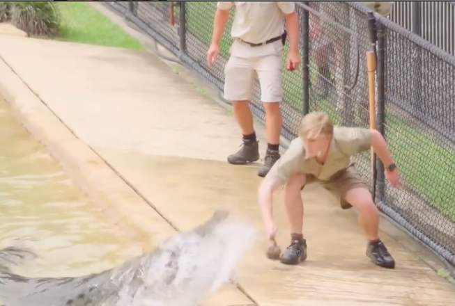 Robert Irwin hat erschreckende Aufnahmen von seiner nahen Begegnung mit einem Krokodil im Australia Zoo geteilt. Foto: Instagram/Robert Irwin