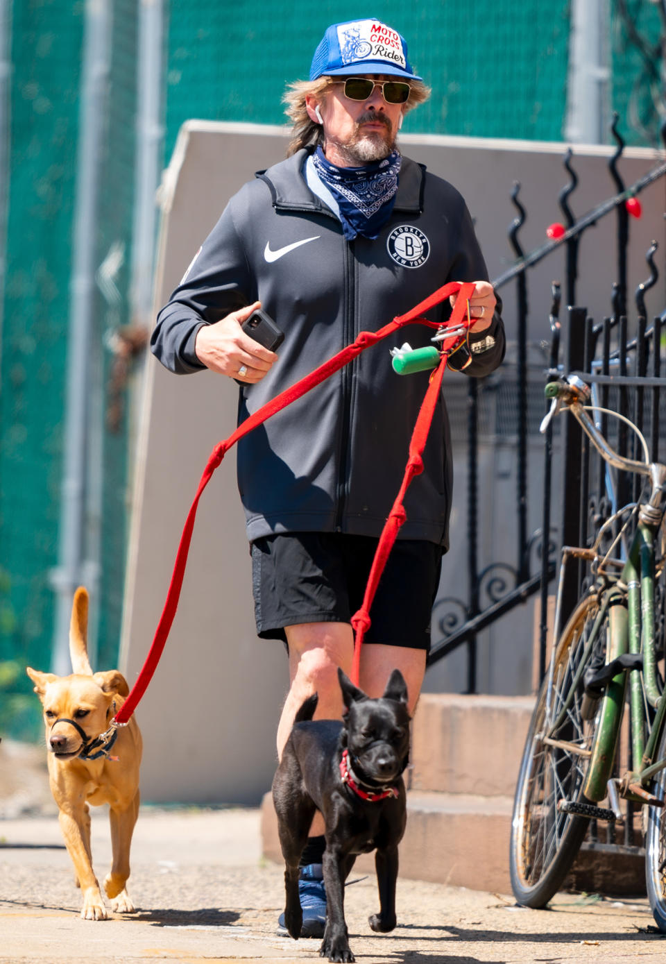 <p>Ethan Hawke lets his two dogs lead the way on Wednesday during a walk through New York City.</p>