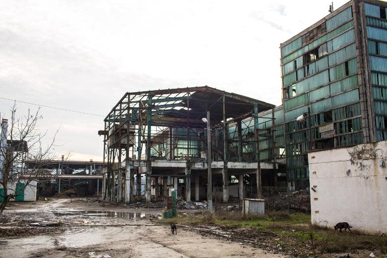 Dogs roam a rundown factory in Zimnicea, a city which has come to symbolises the fortunes of the EU's second poorest country as it has tried to rebuild 25yrs after dictator Nicolae Ceausescu was killed by a firing squad