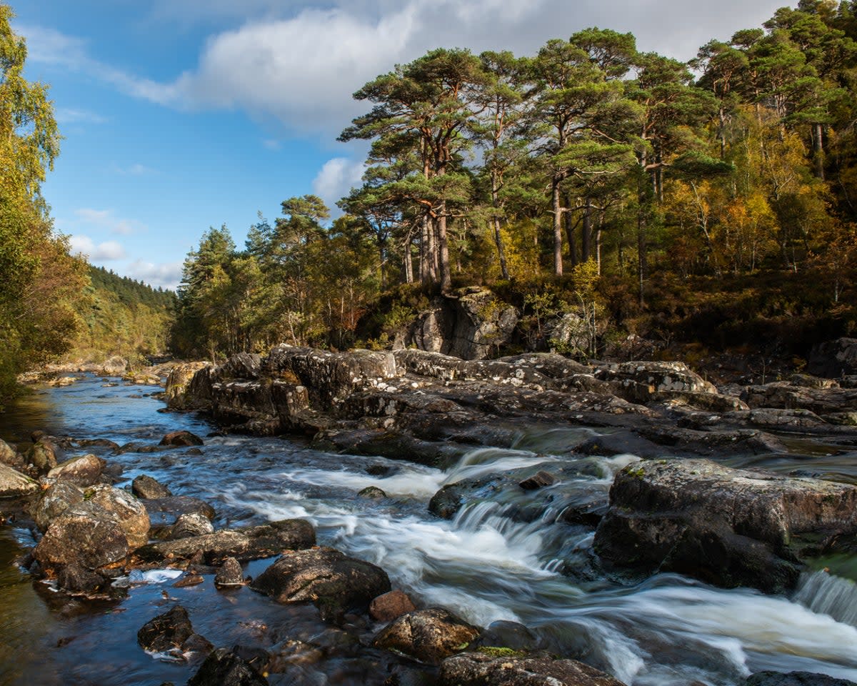 Part of Glen Affric, a valley near Loch Ness (Getty Images/iStockphoto)