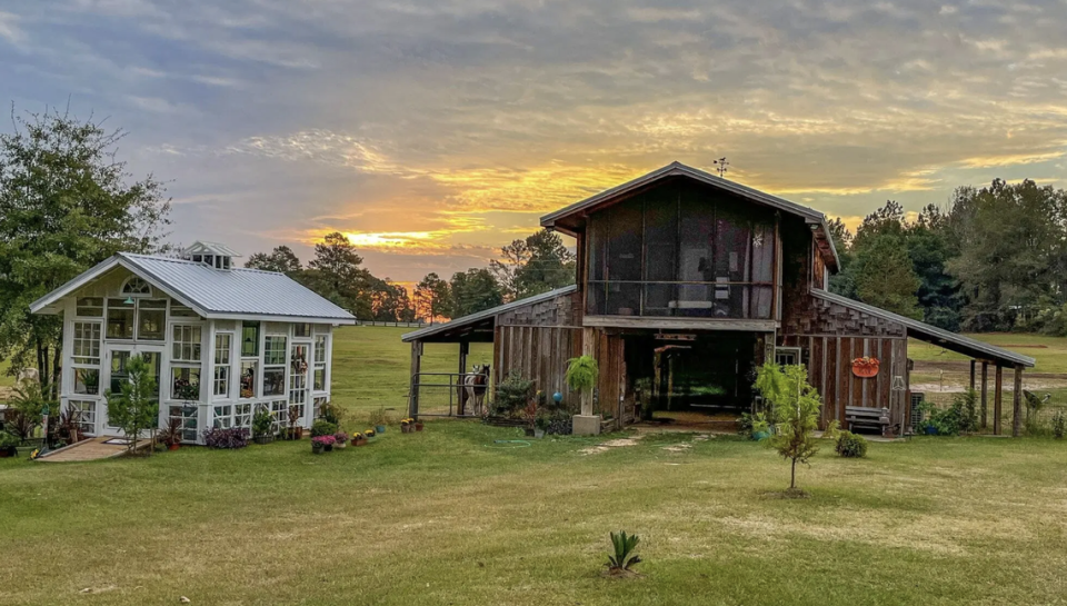 Hummingbird Haven in Georgia.