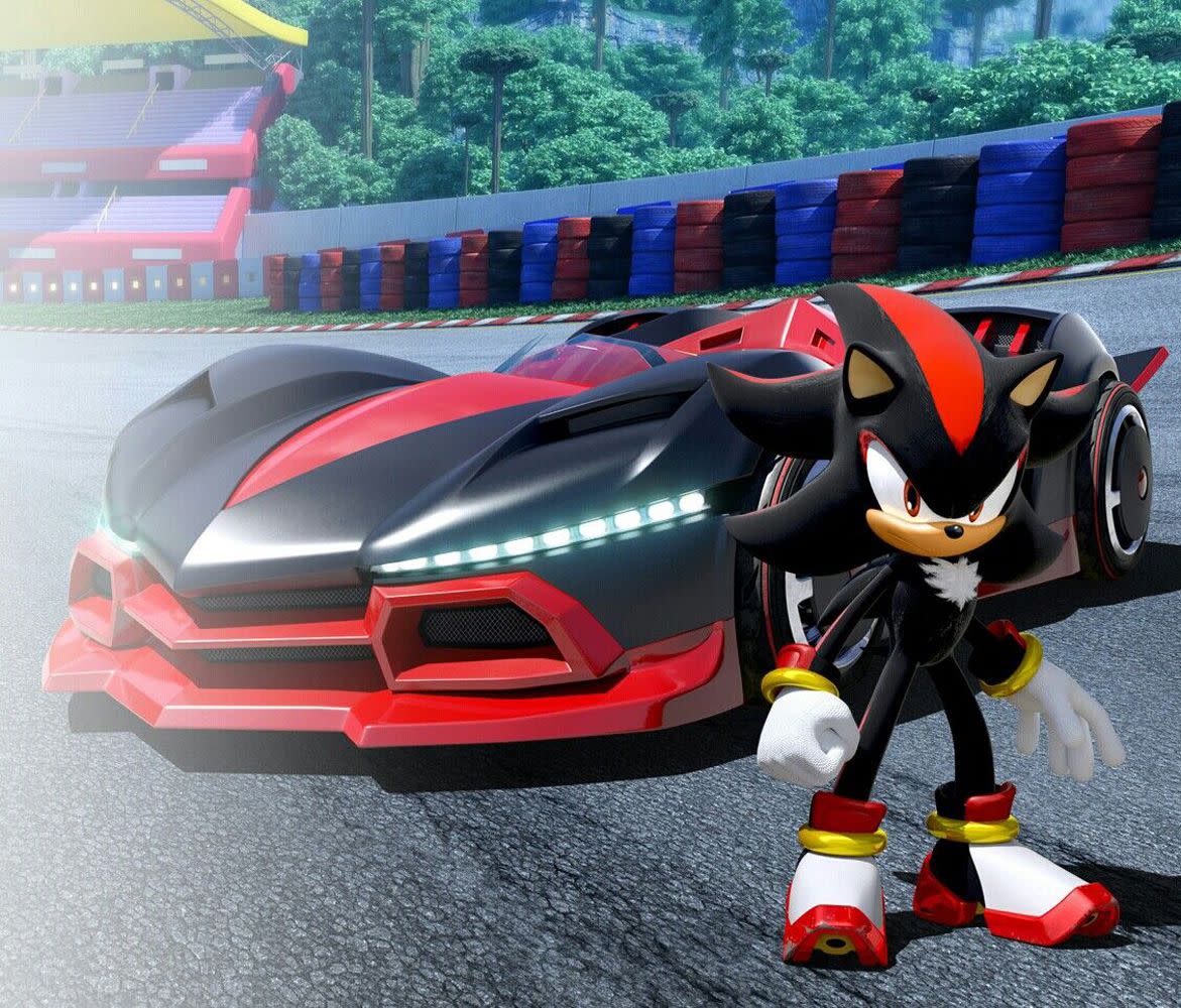 shadow the hedgehog, team sonic racing game