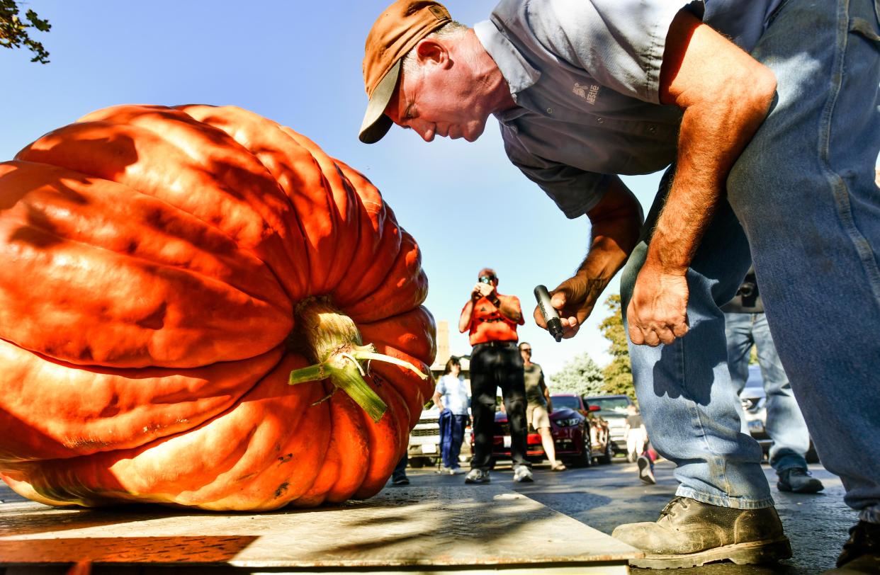 Jim Ackerman marks the largest of the pumpkins weighed at a past Morton Pumpkin Festival Pumpkin Weigh Off. The Pumpkin Festival may be Morton's signature event, but the community apparently offers far more to upscale home buyers.