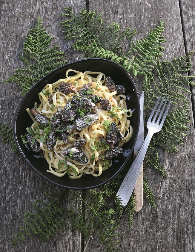 Fruits et légumes de saison avril : morilles