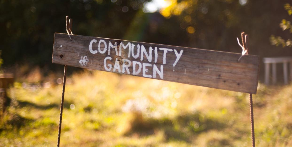 homemade sign for a community garden, written on a plank of wood