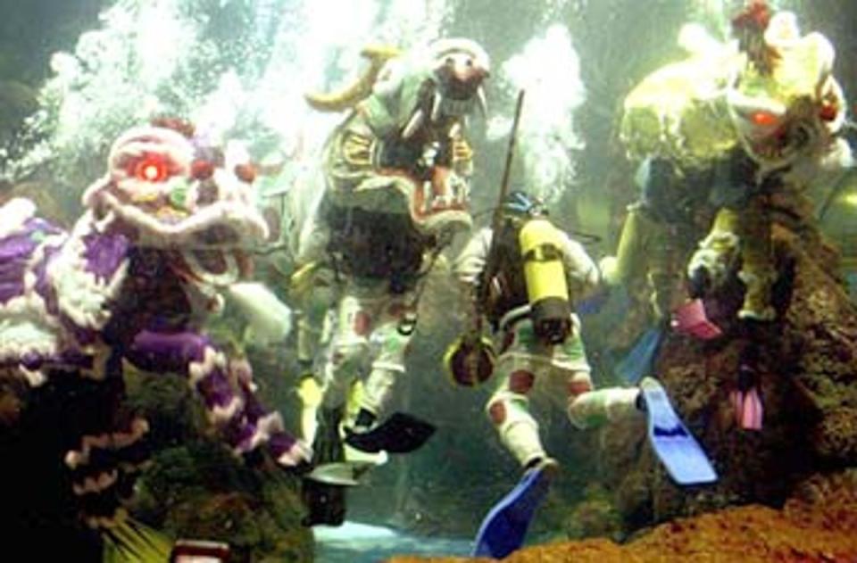 Making a splash: Indonesian divers perform an underwater lion dance at Jakarta's Sea World<br></br>Â© Reuters: 