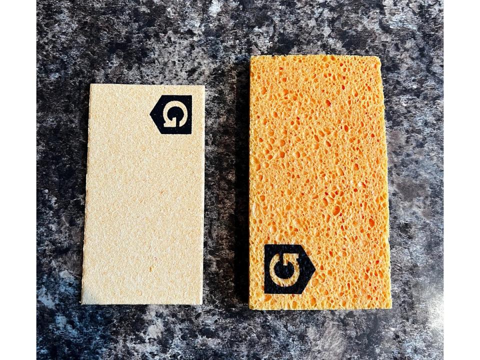 The sponge arrived practically flat and expanded in size after we put it under a running tap (Eva Waite-Taylor)