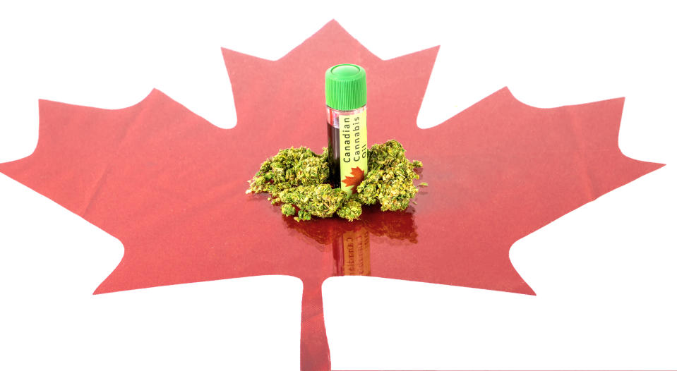 Marijuana buds and cannabis oil on top of a cutout of a red Canadian maple leaf