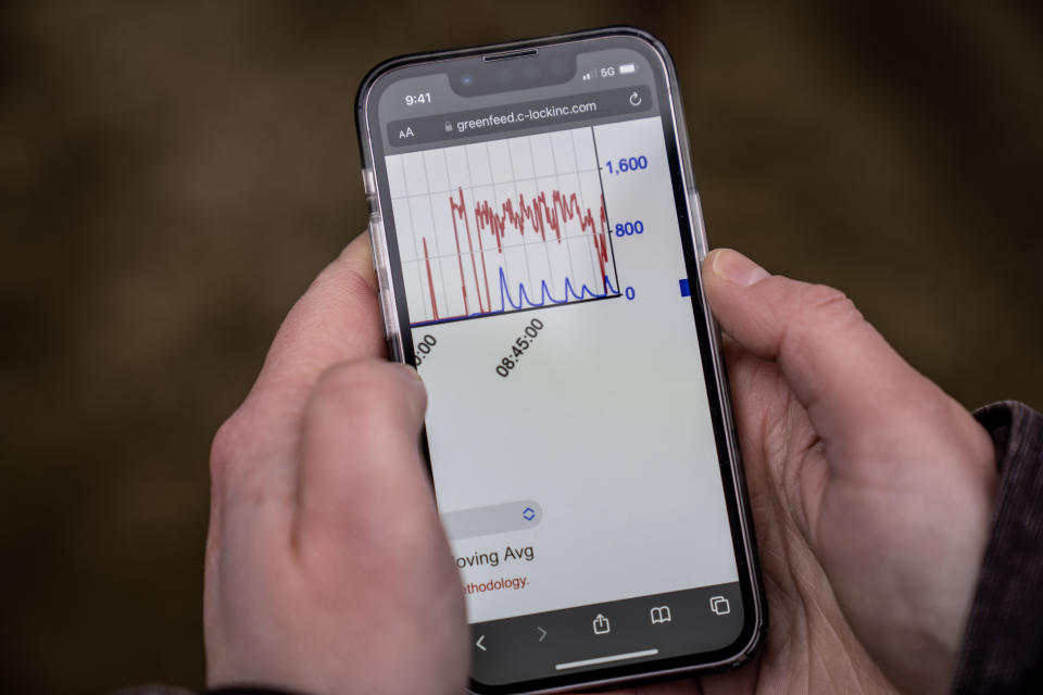 Sara Place, associate professor of feedlot systems, holds her cellphone which shows a cattle's methane emissions, in blue, being recorded by GreenFeed machines at Colorado State University's research pens in Fort Collins, Colo., Tuesday, March 7, 2023. (AP Photo/David Goldman)