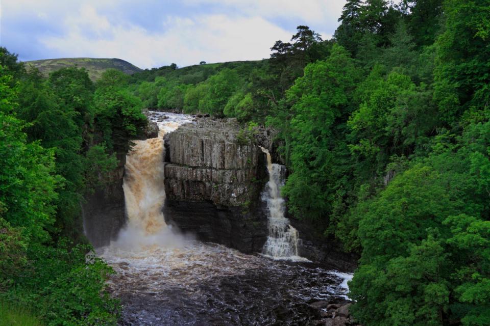 The surrounding area of High Force is teeming with wildlife (Premier Inn)