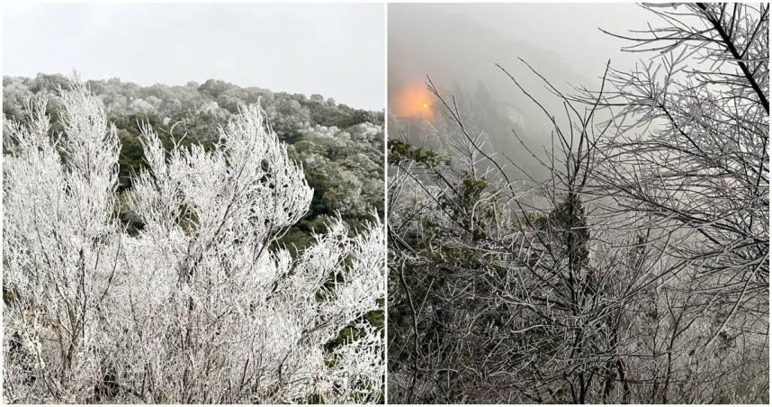 新竹尖石的宇老下雪了。（圖／翻攝綠木頭臉書臉書，下同）