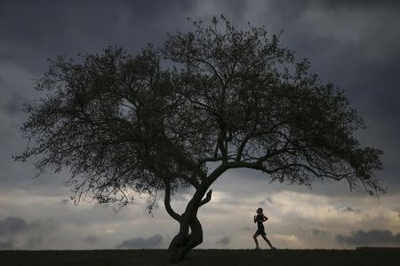 A woman is seen jogging at Cunningham Park in the borough of Queens in New York, September 16, 2014. REUTERS/Shannon Stapleton