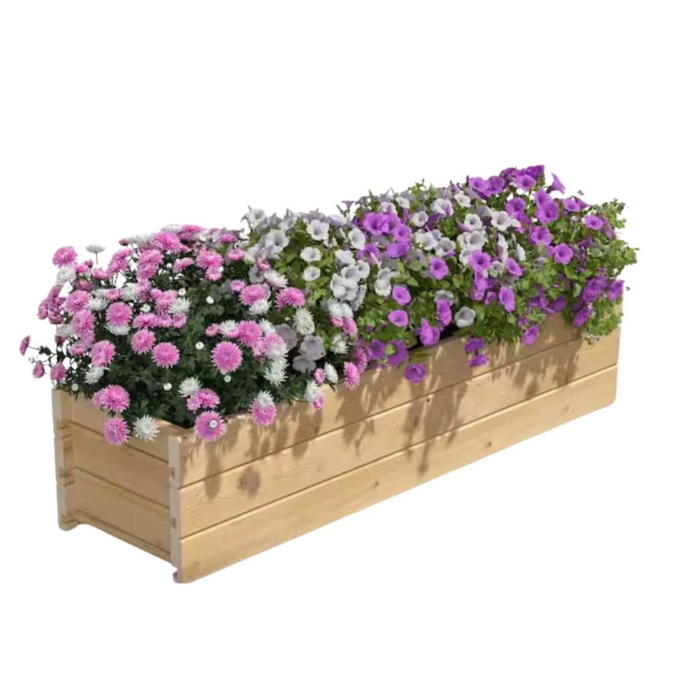 Raised garden bed with purple flowers