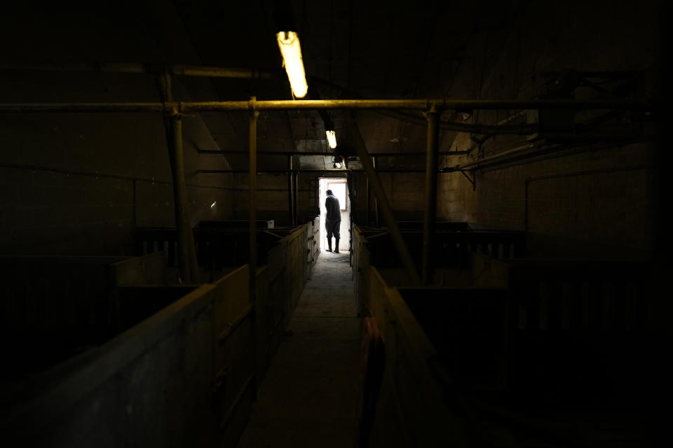 Bart Dochy walks through empty pig pens at his family farm in Ledegem, Belgium, Tuesday, Feb. 13, 2024. Because rules change so fast, Dochy said it becomes harder and harder to invest wisely. In Northern Belgium such issues have coalesced around nitrate poolution and rules to contain them. (AP Photo/Virginia Mayo)