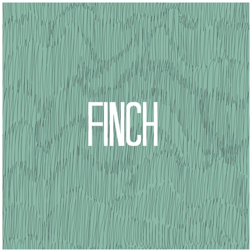 Finch