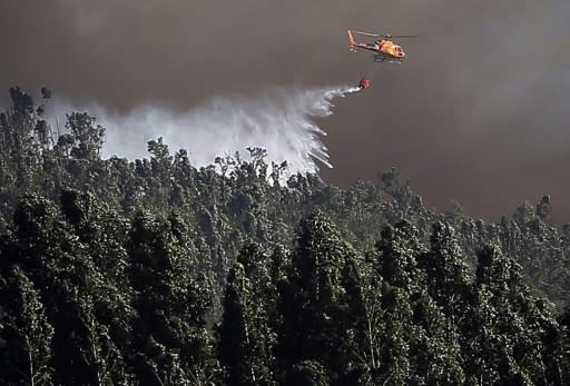 Aircraft scooped water from the sea to drop onto the creeping blaze Thursday, as firefighters continued their struggle to douse the flames, which have already consumed some 21,000 hectares (52,000 acres) of forest in the region