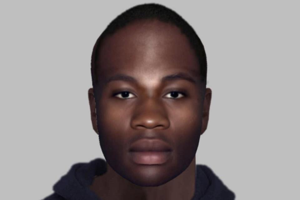 Police have issued an e-fit image of a man who was found dead in the undercarriage of a plane at Gatwick Airport in December (Sussex Police/PA) (Sussex Police)