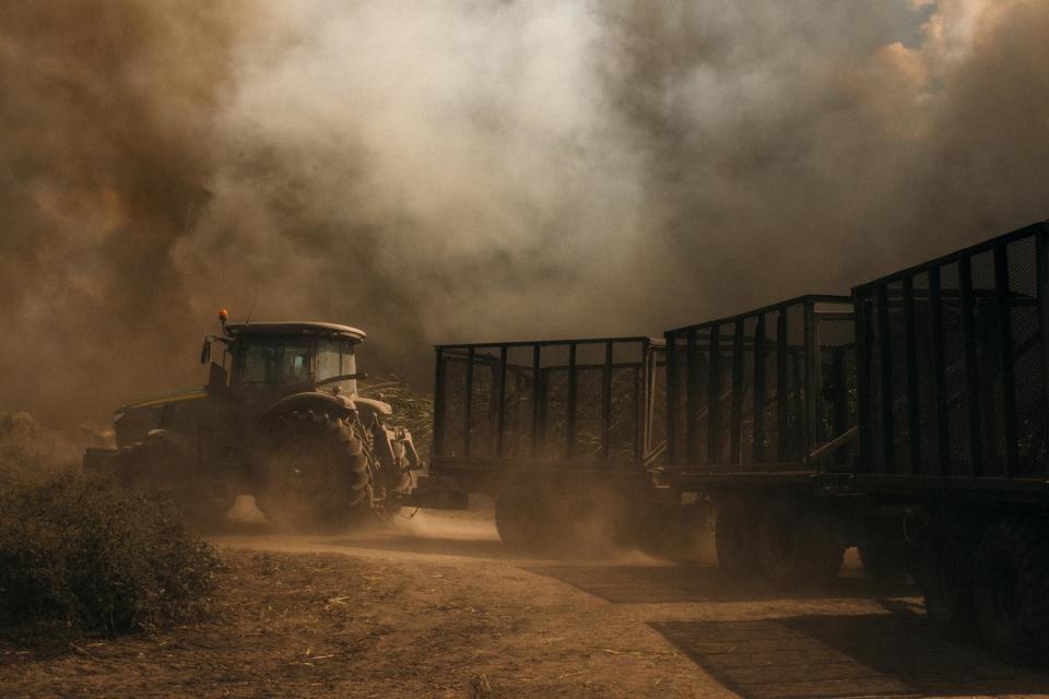 Sugar cane fields burn in Everglades Agricultural Area, Florida, Friday, May 21th, 2021.