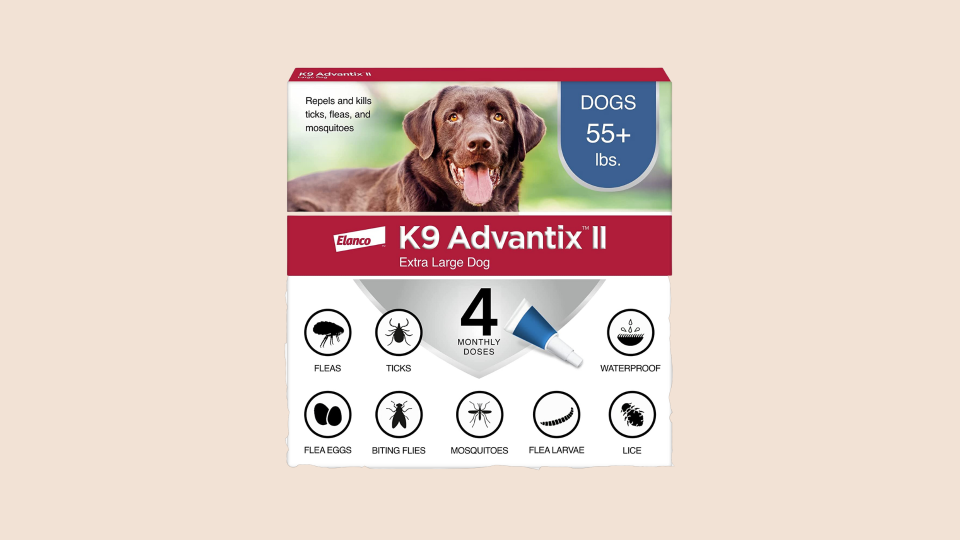 Best flea and tick protection: K9 Advantix