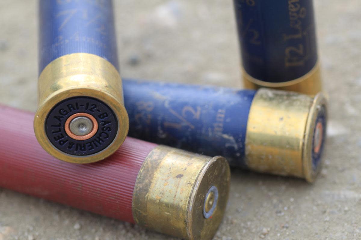 Shotgun cartridges <i>(Image: Pexels)</i>